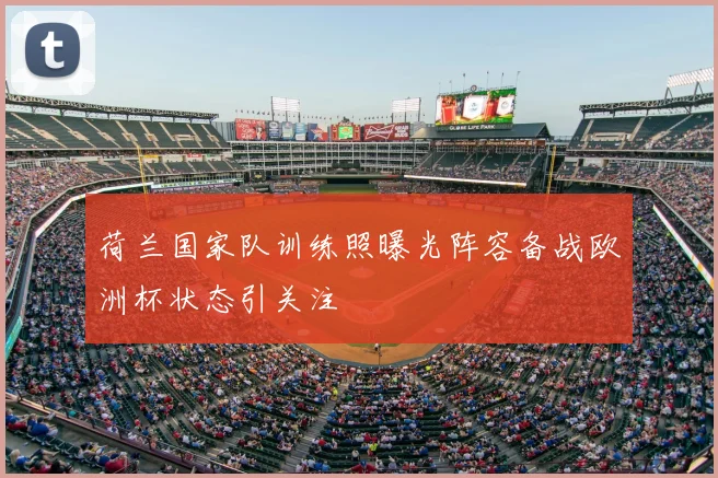 荷兰国家队训练照曝光阵容备战欧洲杯状态引关注