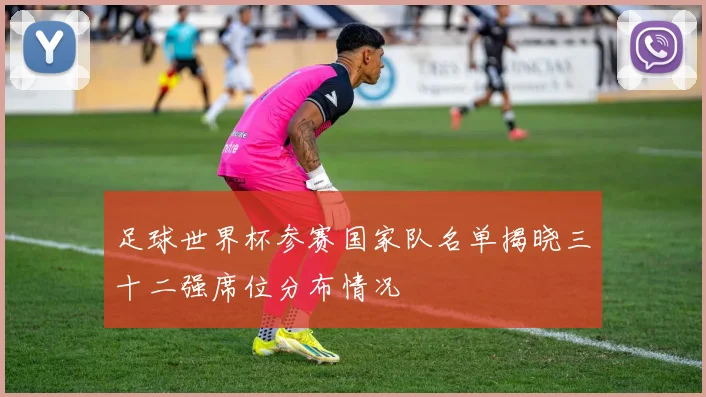 足球世界杯参赛国家队名单揭晓三十二强席位分布情况