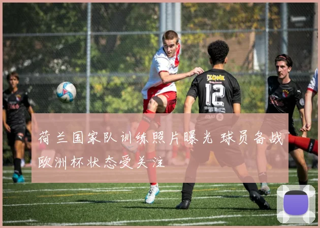 荷兰国家队训练照片曝光 球员备战欧洲杯状态受关注