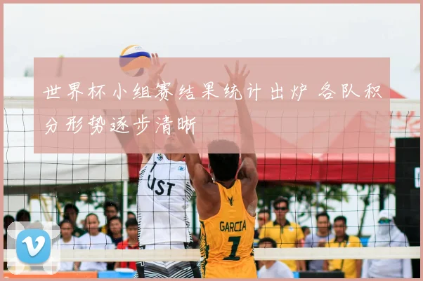 世界杯小组赛结果统计出炉 各队积分形势逐步清晰