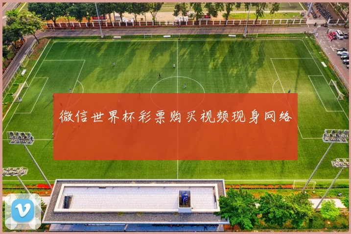 微信世界杯彩票购买视频现身网络
