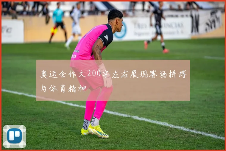 奥运会作文200字左右展现赛场拼搏与体育精神