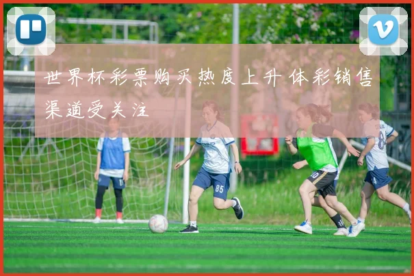 世界杯彩票购买热度上升 体彩销售渠道受关注